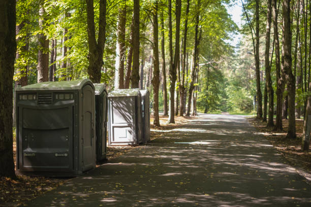 Best Porta potty rental for parties  in Annandale, MN